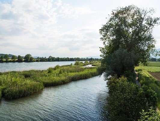 Aare bei Selzach