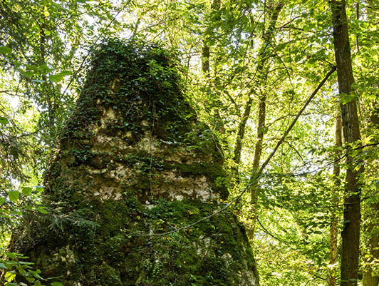 Fels im Gebiet Homberg, Seewen