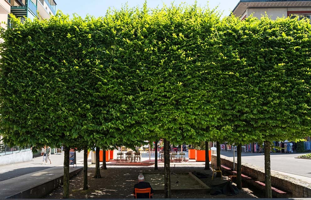 Marktplatz in Grenchen, überdacht mit Bäumen