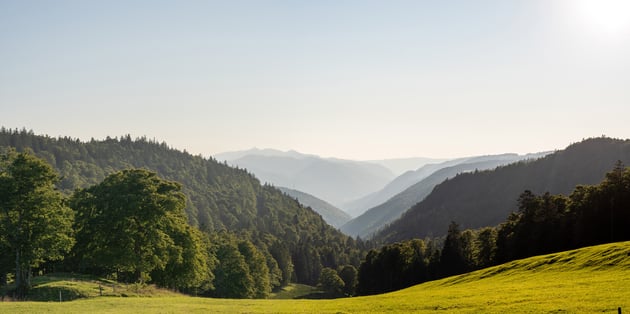rso-untergrenchenberg-panorama-feature1920x959
