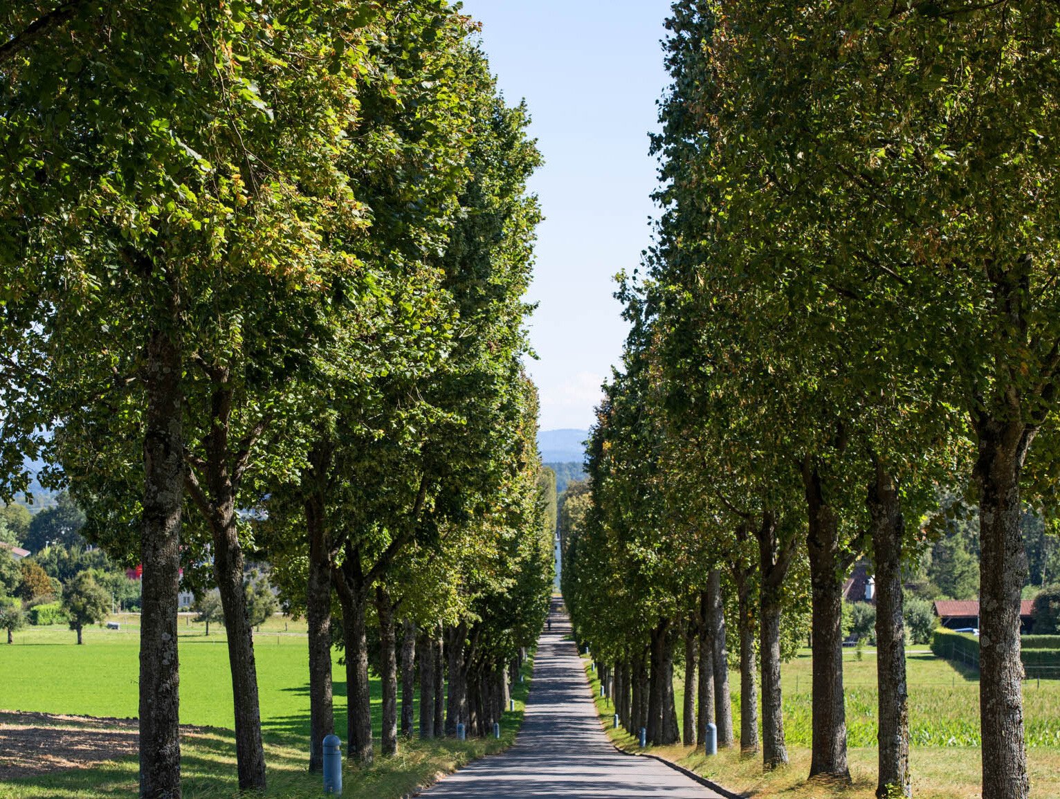rso-schloss-waldegg-01_532x401