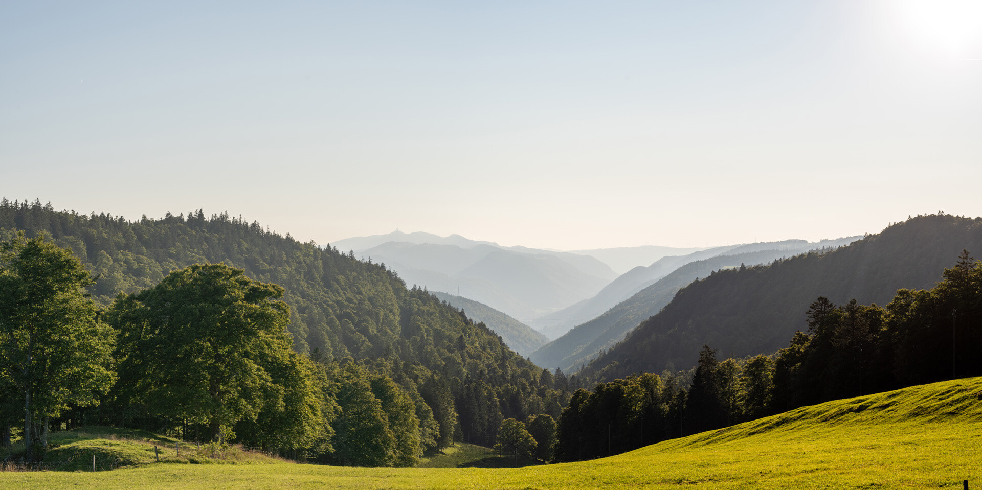 REGIOBANK AKTUELL
