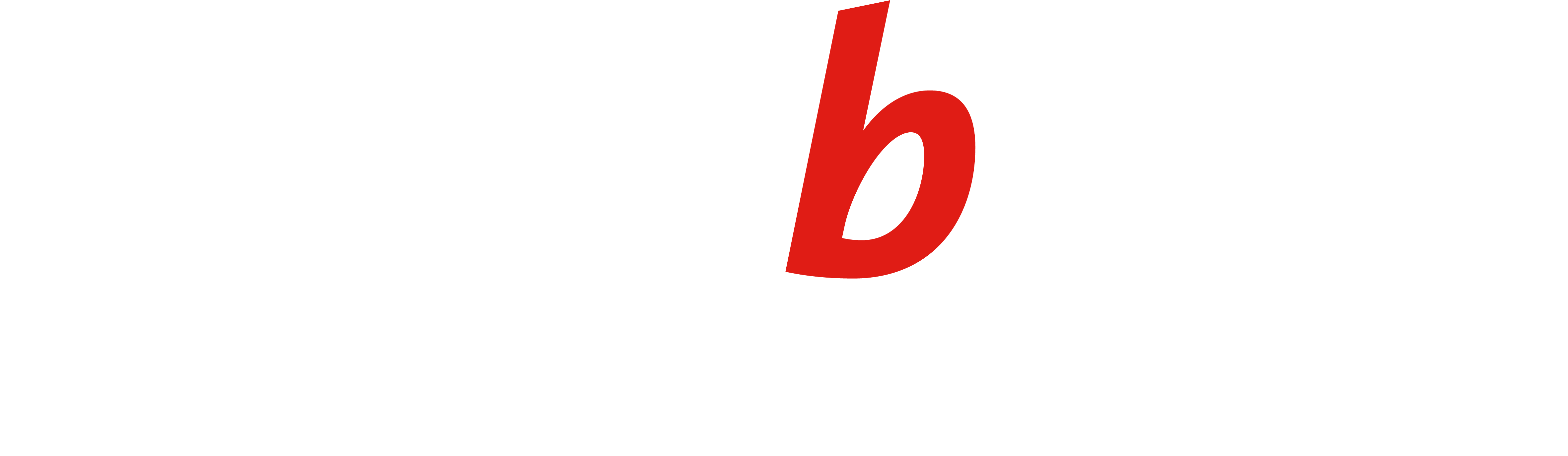 regiobank-immo-logo-rgb-neg
